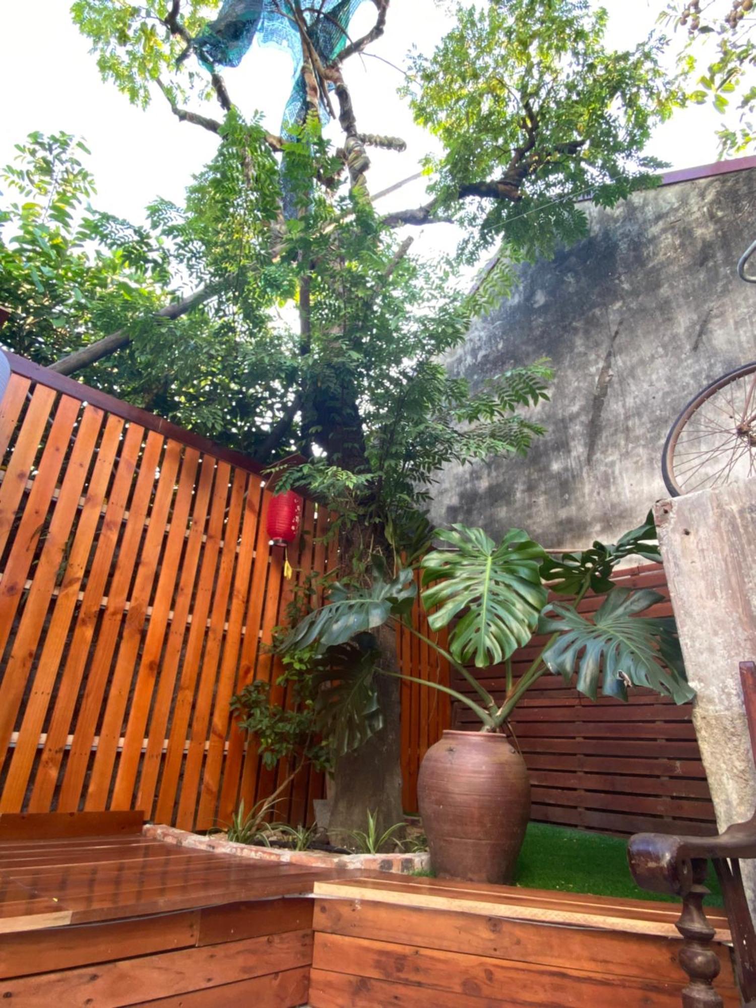 Ohayo Tam Coc Homestay นิญบิ่ญ ภายนอก รูปภาพ