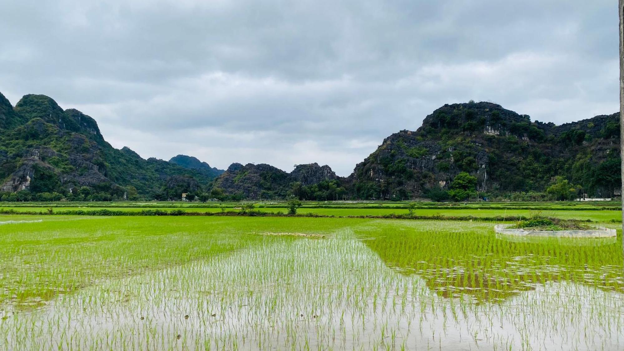 Ohayo Tam Coc Homestay นิญบิ่ญ ภายนอก รูปภาพ